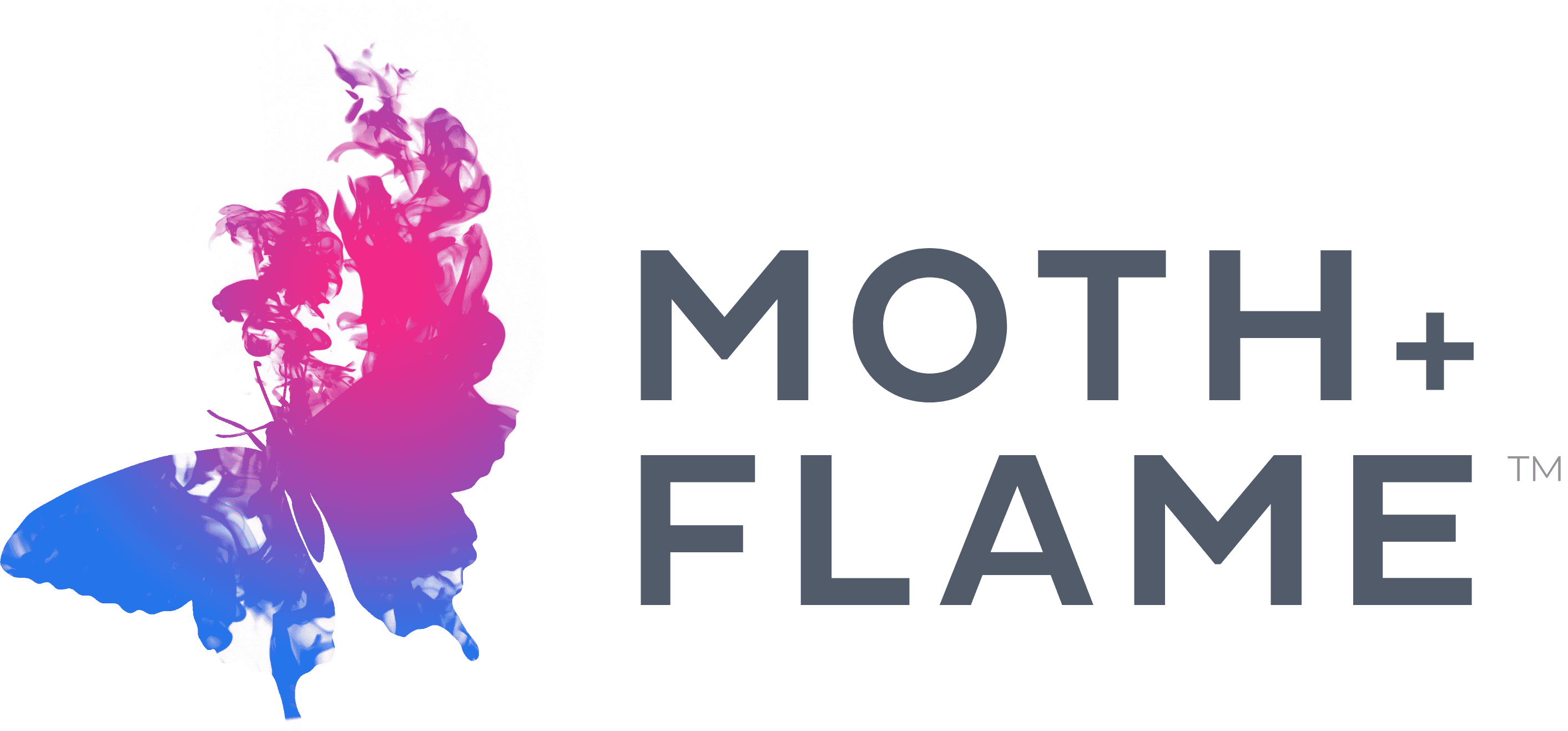 Moth+Flame VR Learning